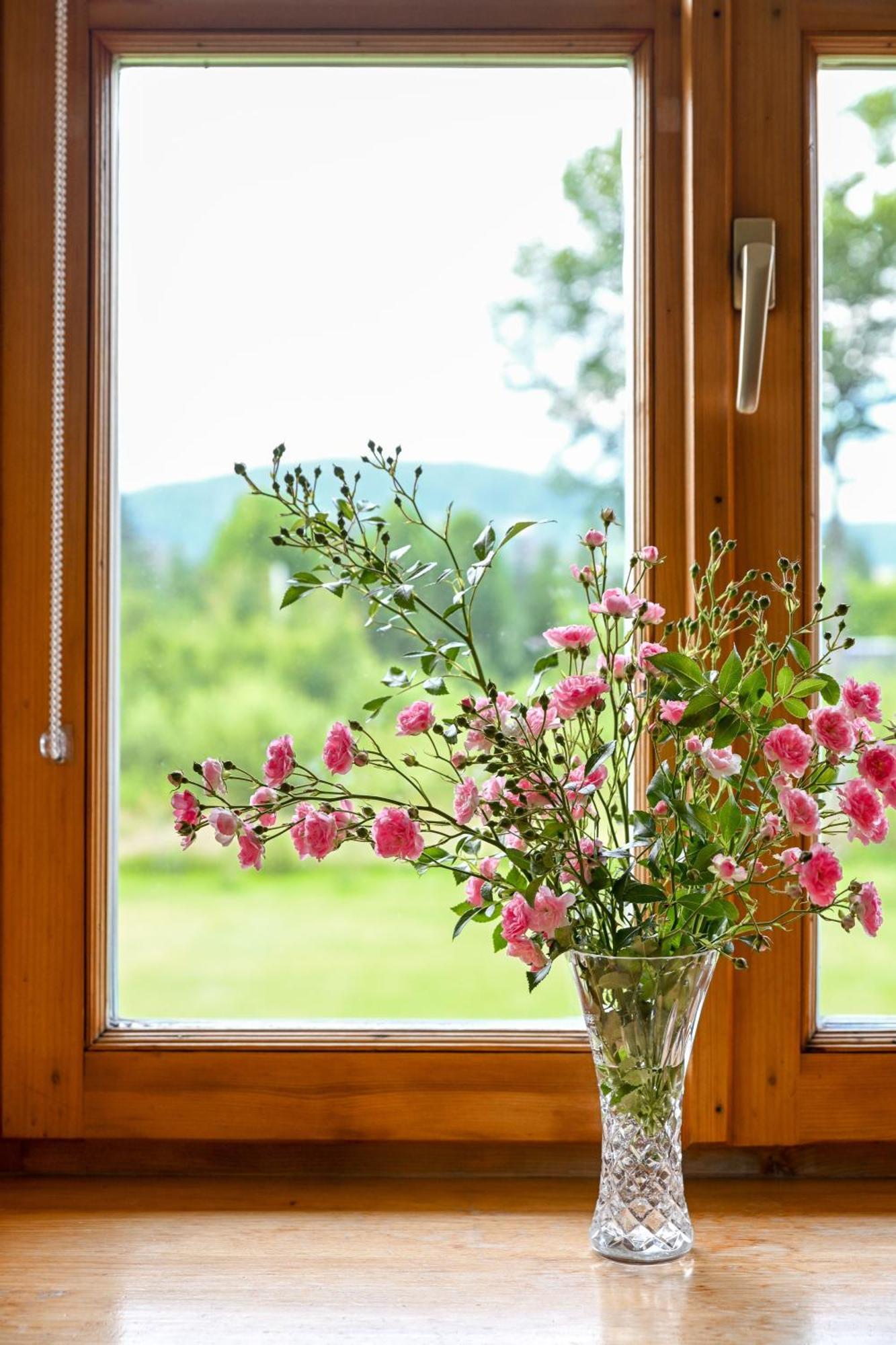 Bed and Breakfast Zakatek Pod Smrekami Kościelisko Exteriér fotografie