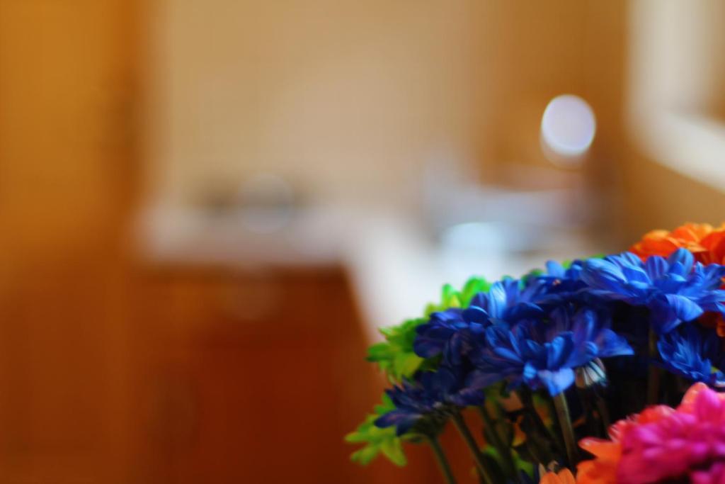 Bed and Breakfast Zakatek Pod Smrekami Kościelisko Pokoj fotografie